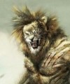 spaun15's Avatar