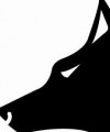 anubiss's Avatar