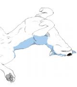 zoorioman's Avatar