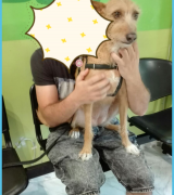 dogredick's Avatar