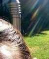 jimferney20@outl's Avatar