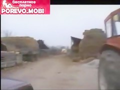 El comerabos caninos