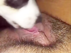 Thumb 11