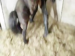 Con ayuda de su amiga, le entra hasta el fondo