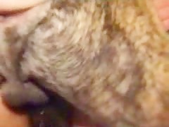 Thumb 13
