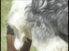 Thumb 13