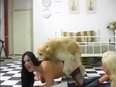 Fantastico dia con perro