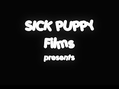 Perrito malo y mujer complacida