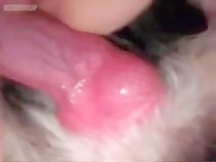 Thumb 17