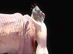 Historias de caballos