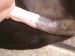 Pinchada escandalosa
