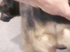 Thumb 13