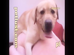 Thumb 8
