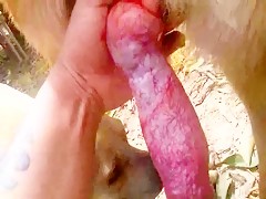 Thumb 6