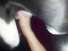 Thumb 11