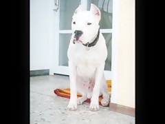 Resbalando viscósamente