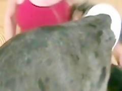 Posicion para Follar