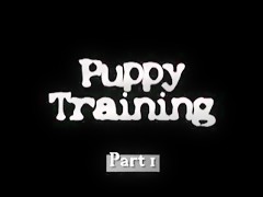 Venga perrito follate a la mulata