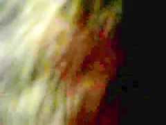 Thumb 16