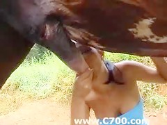 deseo kiwi Combatiente Zooskool el misionero - Sexo con Animales - Portalzoo