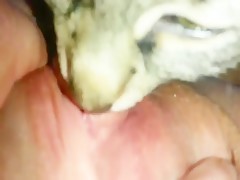 Thumb 20