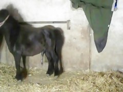 Orgullosa de su perro