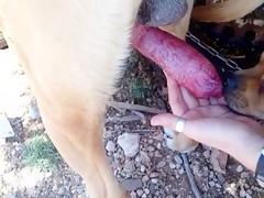 Thumb 18