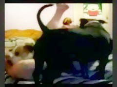 Thumb 16