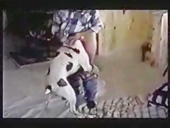 kennels sex