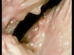 Desde dentro del chocho