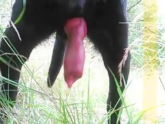 want some