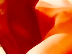 Experta en posiciones sexuales