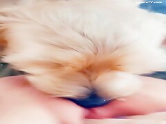 little pussylicker 2